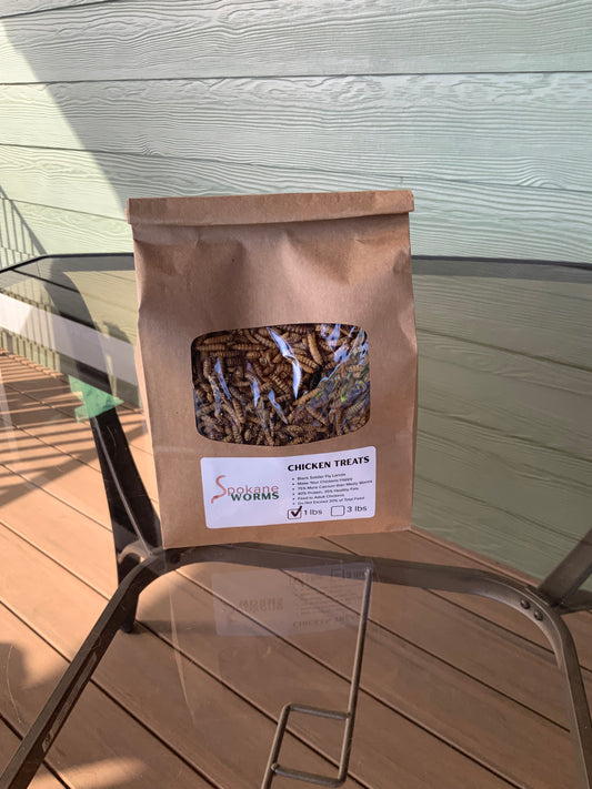 Dried Black Soldier Fly Larvae Chicken Treats - 1 lbs bag